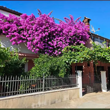Apartment Alina Pula