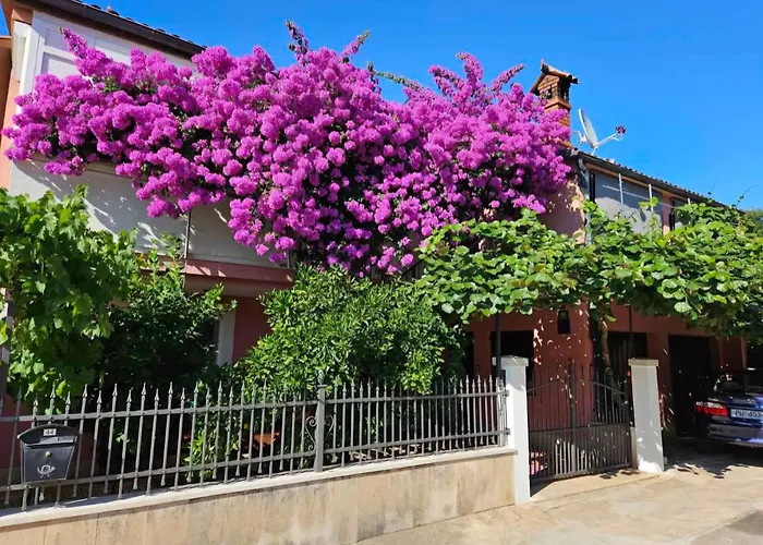 Lägenhet Alina Pula